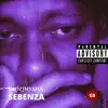 Dlozinyana - Sebenza - Single